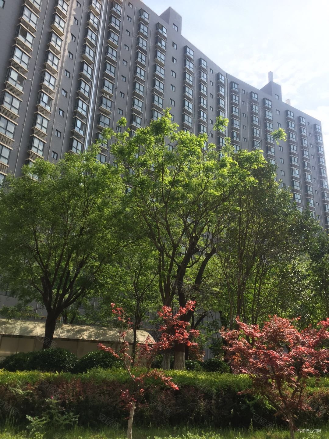 辰宫双河湾4室2厅2卫138㎡南北145万