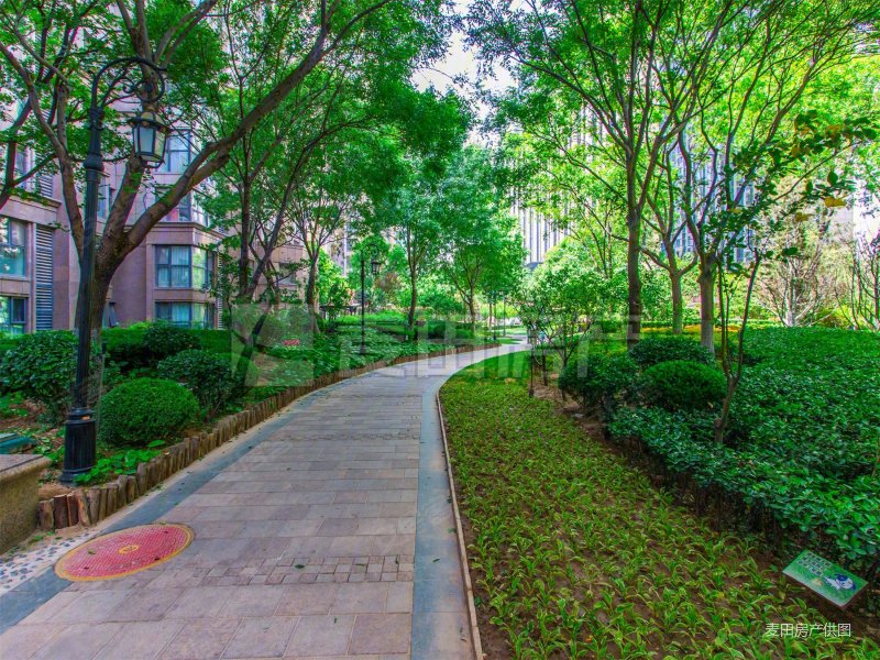 正对园区 基本没住 从未开过火 南向两居 明厨明卫,中海紫御公馆二手