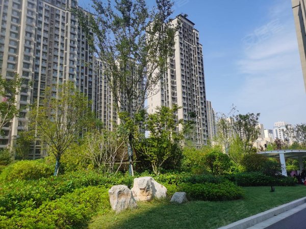 青岛黄岛隐珠中建锦绣城八期雅园锦绣城雅园,套四双卫,通透全明,采光