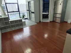欢乐谷东四环南路53号院林达海渔广场精装修一居室出租4500