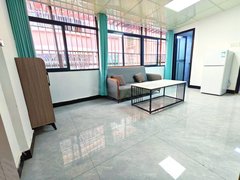 深圳龙岗龙岗中心城南联地铁附近摩尔城精装修两房一厅领包入住民水民电停车方便出租房源真实图片