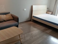 南京建邺奥体龙湖时代上城 1室1厅1卫出租房源真实图片