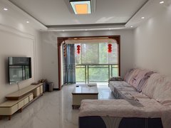 南充南部幸福广场政务中心 县政府大润发旁电梯套二房出租房源真实图片