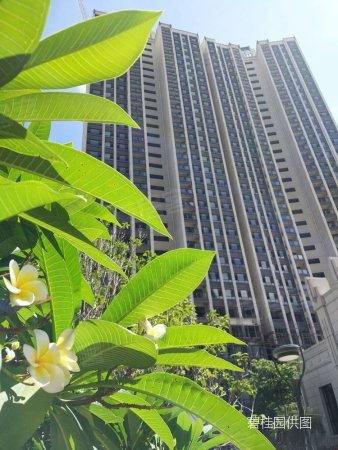 惠州二手房 惠阳二手房 淡水西二手房 澜山名苑  /03:11 repeatfull