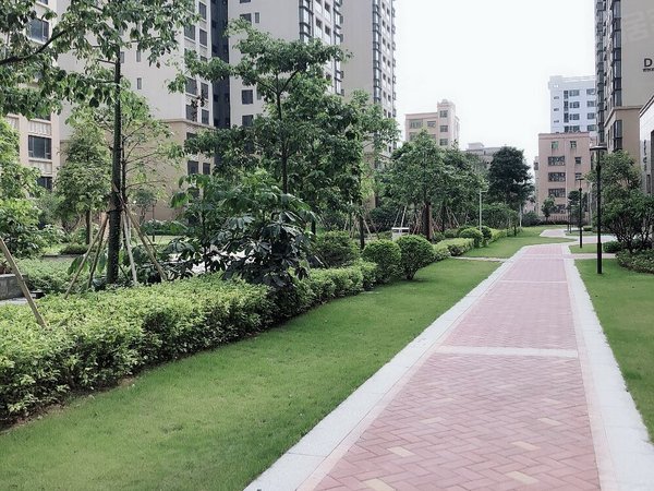 深圳宝安福永怀德峰景12号线,峰景北园86平两房,全新装修,高层看花园