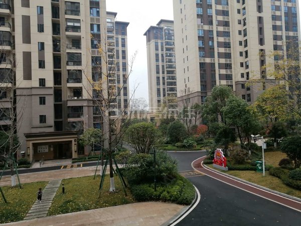 【多图】碧桂园西南上城观山府,商贸城租房,西南上城学校客车站旁观山