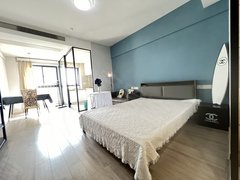 江畔明珠广场丨整租 单身公寓 精装修 S8地铁口 电梯房