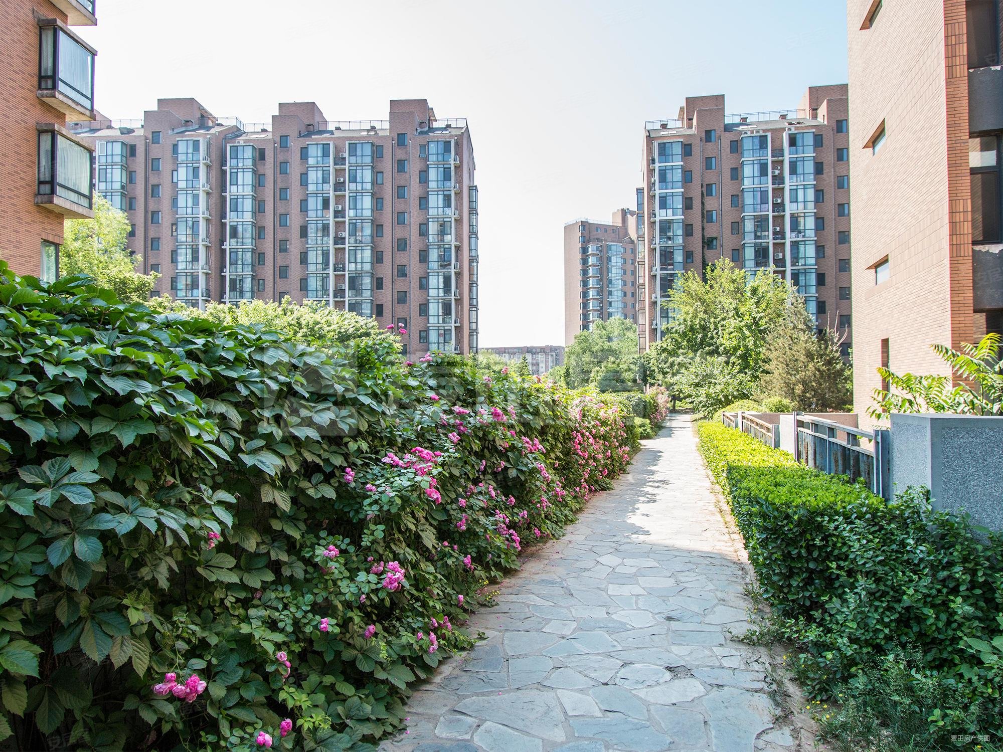 高层观景三居室 落地飘窗 带南向明卫 户型方正,玉泉新城二手房,1100