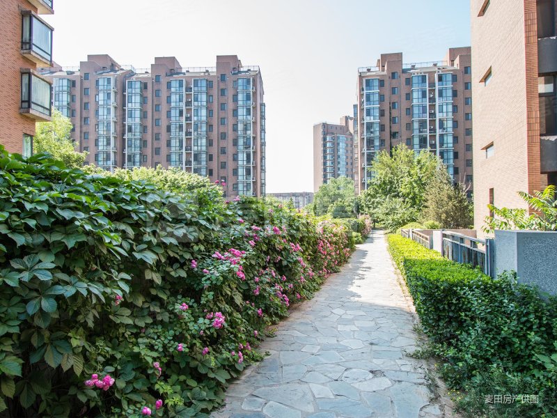 高层观景三居室 落地飘窗 带南向明卫 户型方正,玉泉新城二手房,1100