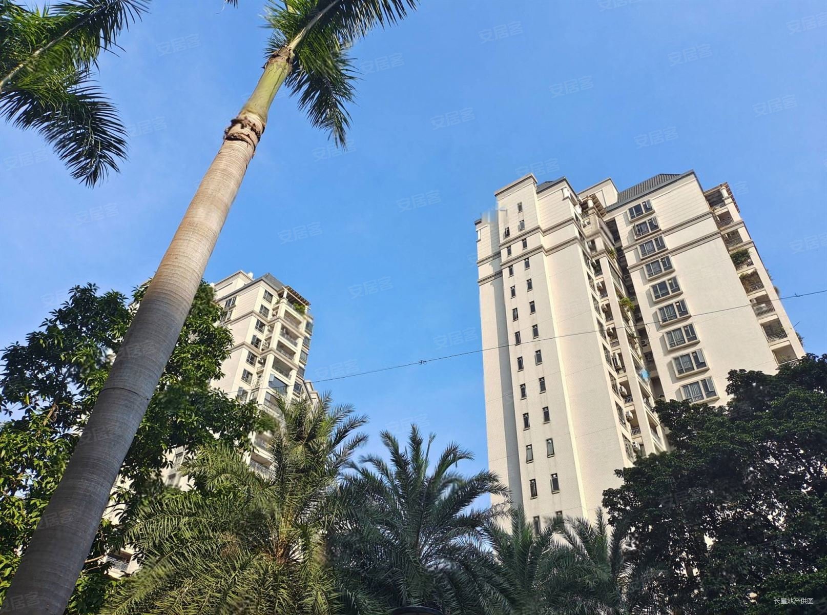 怡翠馨园灯湖中中心小环境好商圈成熟高视野好近地铁