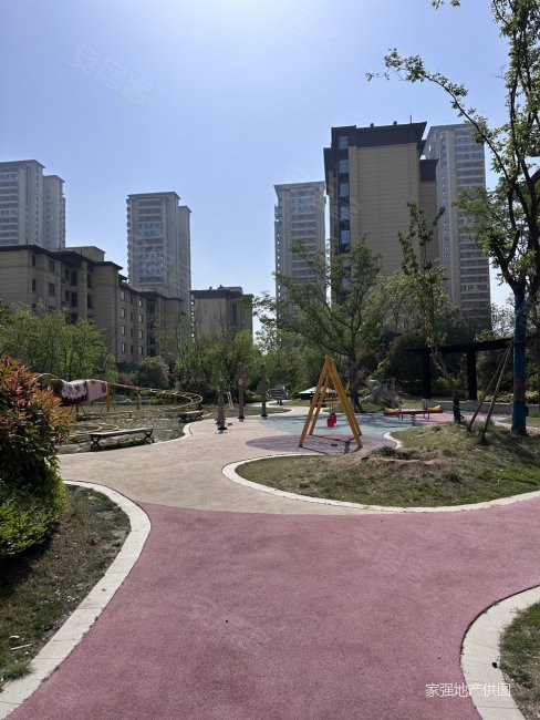荣盛锦绣外滩 有电梯 板楼 商品住宅,交通便利
