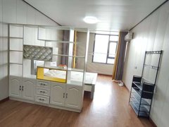 射阳射阳城南太阳城恒隆广场，步行街电梯房60平1室1厅1卫出租房源真实图片