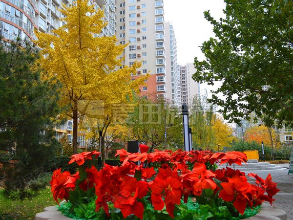 南北通透 4室2厅 中海馥园 有车位 可以长租 高层,海淀租房-北京58