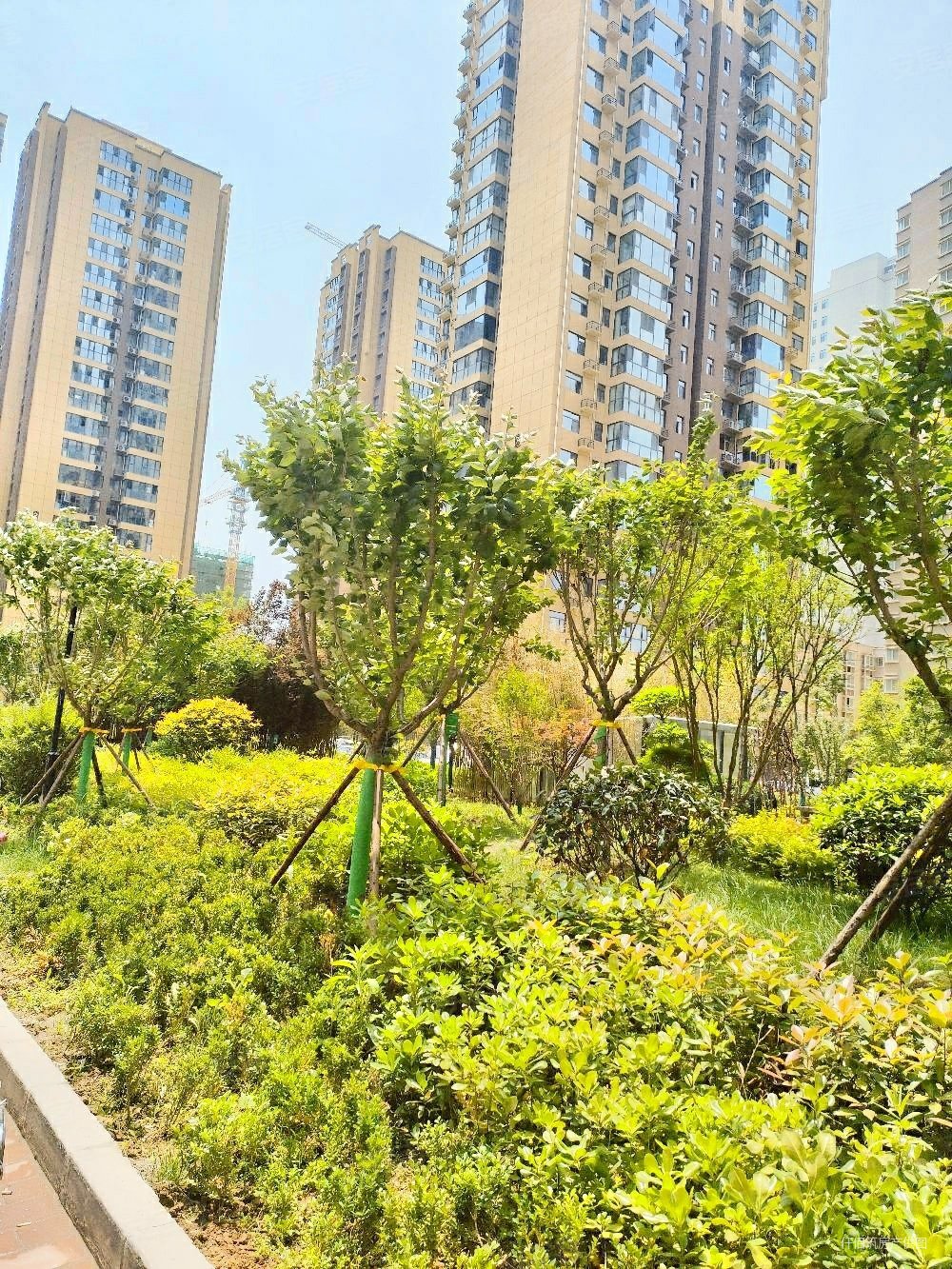 江林新城b区2室1厅1卫43.58㎡南57万