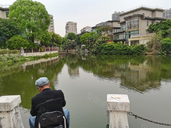 【多图】珊瑚天峰,星河湾租房,万科物业自营 天峰精装四房佶屋出租