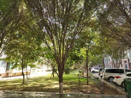 东方花园,东四路3815号-石河子东方花园二手房,租房-石河子安居客