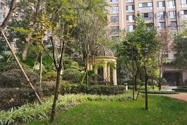成都小区 锦江小区 川师小区 塔子山壹号 塔子山壹号怎么样