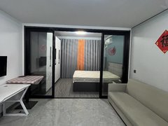 大丰大中大中城区金丰小区附近精致新装修  一室一厅一厨一卫出租房源真实图片