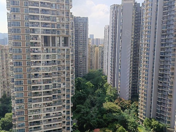 深圳南山前海星海名城(五期)新出特价朝南精装两房 高楼层 采光很好