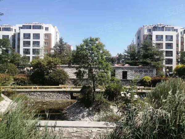 青岛城阳流亭天一金色海湾可短租月付,有电梯天一金色海湾精装套三