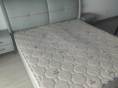 射阳射阳城西后羿公园可短租，苏农汇丰，靠近比亚迪，一室一厅一卫，拎包入住出租房源真实图片