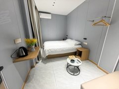 恩施利川南环大道全新精装 智能家居 酒店配置 近公交 站 畅游全城景点出租房源真实图片