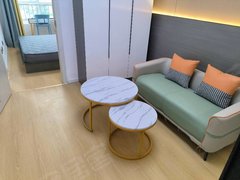 西安雁塔电子城租房，整租可月付，都市之门，科技六路，陕西大会堂，一居出租房源真实图片