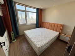 大连西岗新开路润德中心 电梯房 精装修下楼东关街 近柏威年出租房源真实图片