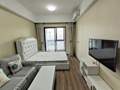 合肥滨湖新区滨湖世纪城滨湖新地城精装一室 楼下地铁口 拎包入住 随时看房 金融港出租房源真实图片