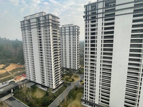 杭州临安临安城区南樾府宝龙广场旁南樾府吴越府新世邸樱花府邸西园带