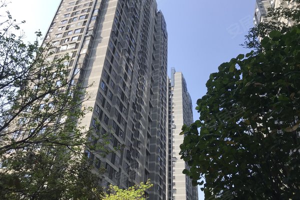 世欧王庄十一区