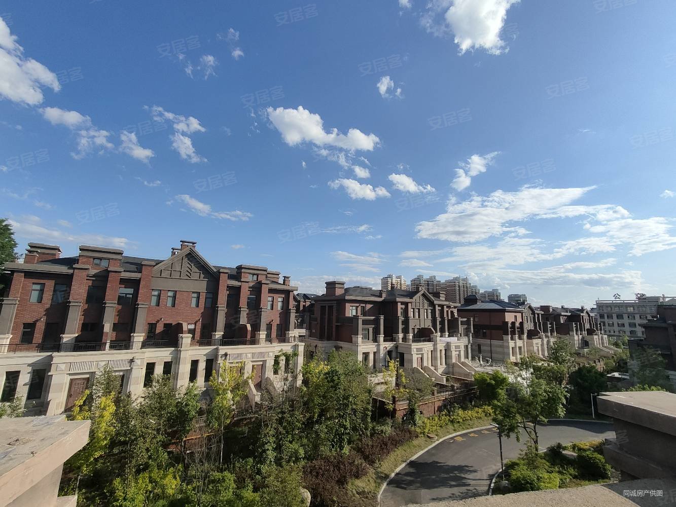 白桦原墅4室2厅3卫350㎡南北180万