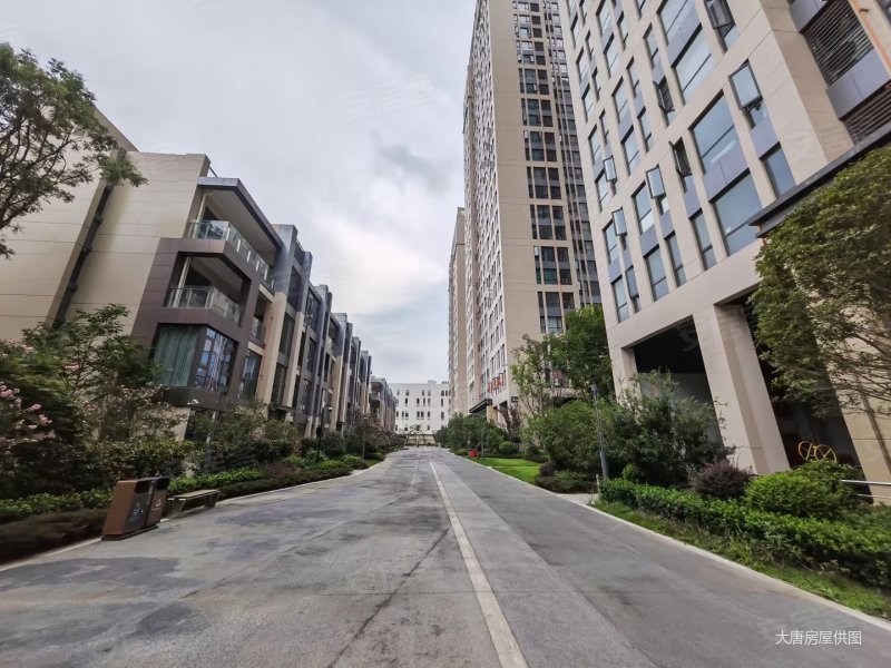 棠湖华府公园公寓南北通透装修好次新房