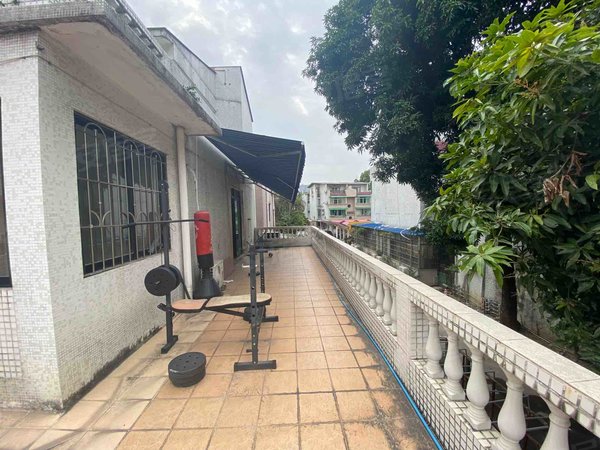 广州番禺洛溪裕景花园房源采光好,南北通透,业主诚意出出租房源真实