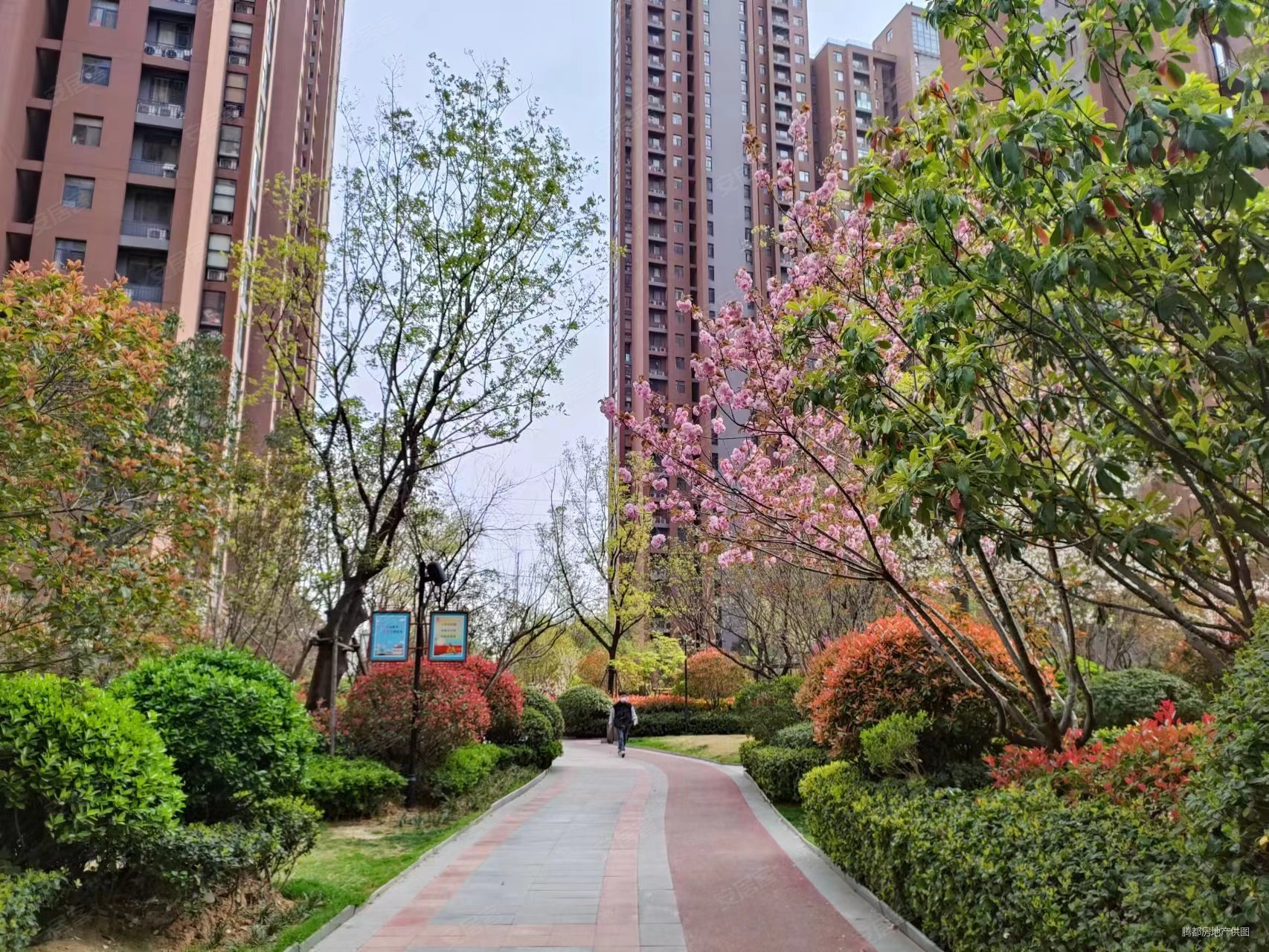 绿都紫荆华庭雅园3室2厅1卫89㎡南北113万