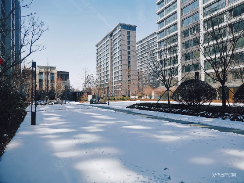 多层电梯洋房崂山壹号院精装未住一梯一户急售价可议