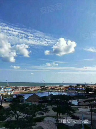 丁字湾海上新城 碧桂园一线精装海景房 国家一级资质物业