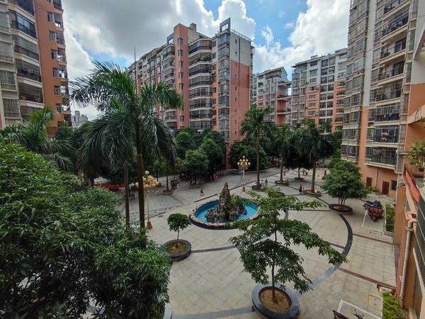 南宁西乡塘安吉棕榈湾三十三中附近一房一厅出租 小区房民水民电出租