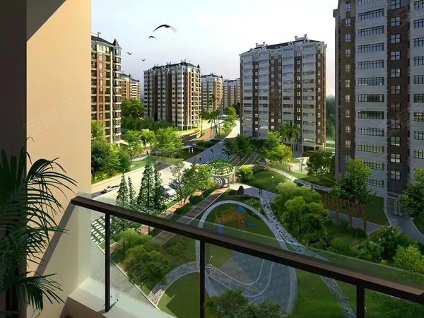 深圳南山大学城平山村平山村 2室1厅1卫 60平 电梯房 南北通透出租