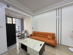 永州零陵红星美凯龙碧桂园正央公园 精装修公寓 一室一厅 状态好 拎包入住出租房源真实图片