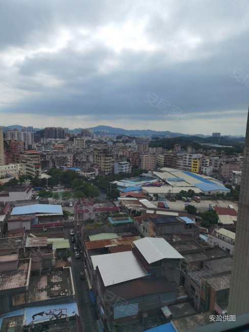 常平金汇大厦精装单间出售