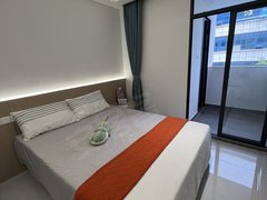 深圳宝安西乡西乡地铁站 电梯精装 可养宠物 拎包入住出租房源真实图片
