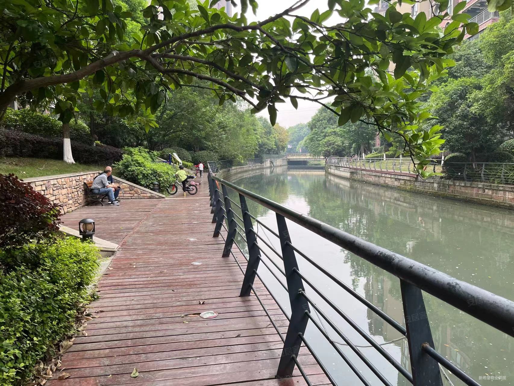 新希望皇冠国际