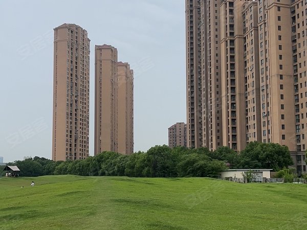 昆山花桥硅湖学院鑫苑国际城市花园(昆山市)出租,精装修,全配,房东好