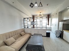 武汉黄陂汉口北华南批发市场旁 精装一室一厅家电齐全！拎包入住出租房源真实图片