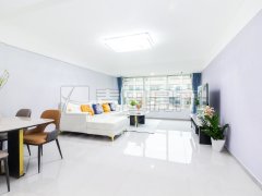 崇文门 新世界中心公寓 精装修大一居 位置优越 价格可谈！！