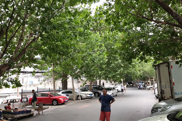 康平社区,康平街20号-大连康平社区二手房,租房-大连安居客