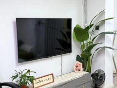 眉山东坡沃尔玛百坡学校对面 庄店花园套一 免停车费出租房源真实图片