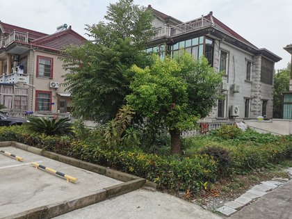 莘松路1028号商业楼相似小区 36000元/m松江-莘闵别墅区 松江春华苑