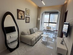 邵阳双清金百汇商业街非中介 卓嵩悦城 红星美凯龙广场 精装小区一室一厅 免费停车出租房源真实图片